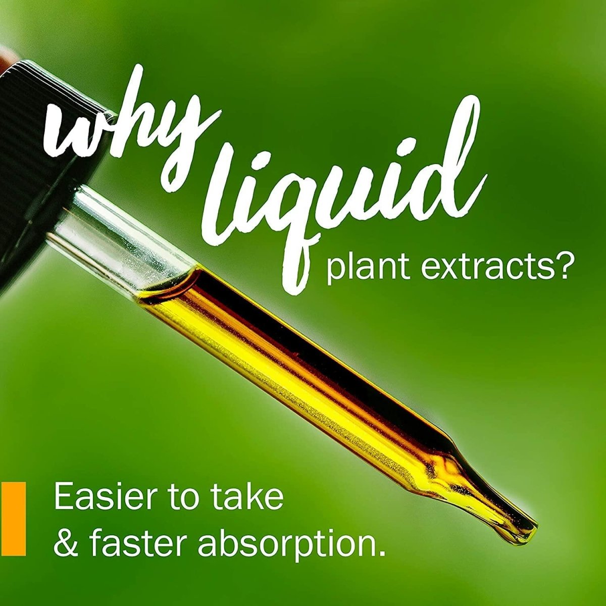 Herb Pharm Certified Organic Clove Liquid Extract - 4 Ounce